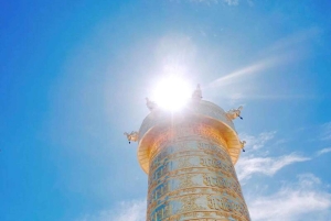 Från Nha Trang: Besök Samten Hills Dalat 1 dag