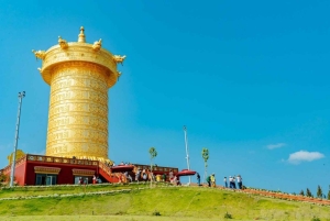 Från Nha Trang: Besök Samten Hills Dalat 1 dag