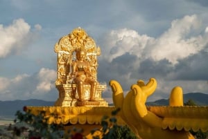 Från Nha Trang: Besök Samten Hills Dalat 1 dag