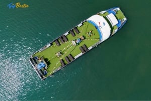 Fra Ninh Binh: 1 dags Ha Long Bay Deluxe-krydstogt