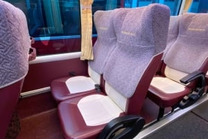 Fra Ninh Binh: 1 dags Ha Long Bay Deluxe-krydstogt