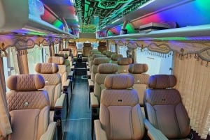 Fra Ninh Binh: 1 dags Ha Long Bay Deluxe-krydstogt