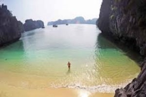 Au départ de Ninh Binh : croisière de 3 jours dans la baie de Bai Tu Long avec repas