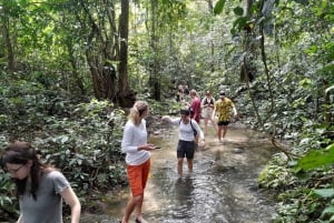 ニンビン発:クックフオン国立公園デラックスツアー