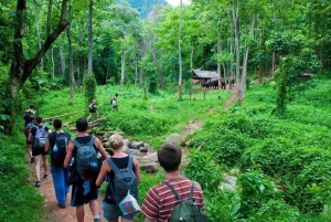 From Ninh Binh Cuc Phuong National Park Group Day Tour