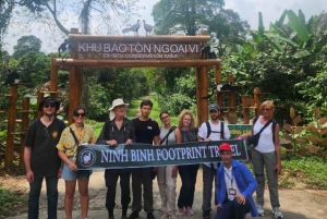 De Ninh Binh: Visita guiada e almoço no Parque Nacional Cuc Phuong