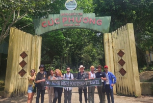 Da Ninh Binh: Tour guidato del Parco Nazionale Cuc Phuong e pranzo