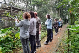 From Ninh Binh: Cuc Phuong National Park Tour with Lunch