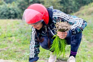 Au départ de Ninh Binh : 3 jours d'excursion en moto à Ha Giang avec pilote