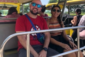 Vanuit Ninh Binh: Hoa Lu, Bai Dinh, Trang An, & Mua Grot Tour