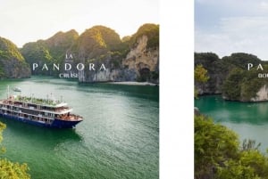 Desde Ninh Binh : Crucero Lan Ha Boutique 5 Estrellas 2 días 1 noche