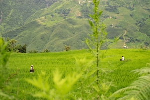 From Ninh Binh : SAPA 3 days 3 night hotel & homestay sleep