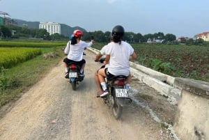 From Ninh Binh: Bich Dong, Hoa Lu, Trang An, Mua Cave, Tour