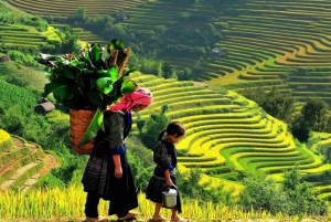 Ninh Binh : Transfert à Sapa en bus couchette VIP