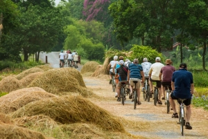 Från Ninh Binh: UNESCO Trang An, Bai Dinh, Hoa Lu och Mua-grottan