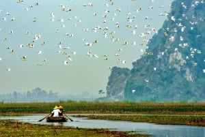 From Ninh Binh: Visit Cuc Phuong National Park - Van Long