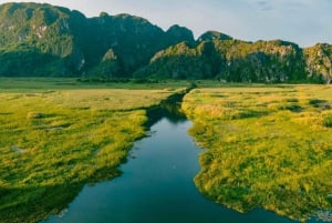From Ninh Binh: Visit Cuc Phuong National Park - Van Long