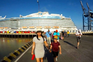 From Phu My Port: Ho Chi Minh City Tour and Transfers