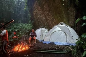 From Pu Luong : One Day Trekking 18km Guide Tour with Lunch