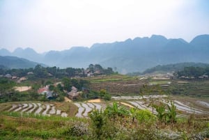From Pu Luong : One Day Trekking 18km Guide Tour with Lunch