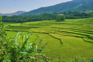 From Pu Luong : One Day Trekking 18km Guide Tour with Lunch