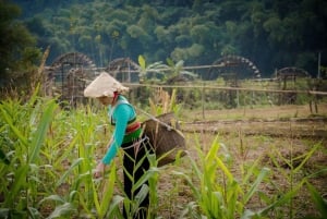 From Pu Luong : One Day Trekking 18km Guide Tour with Lunch