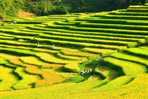 From Pu Luong : One Day Trekking 18km Guide Tour with Lunch