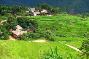 From Pu Luong : One Day Trekking 18km Guide Tour with Lunch