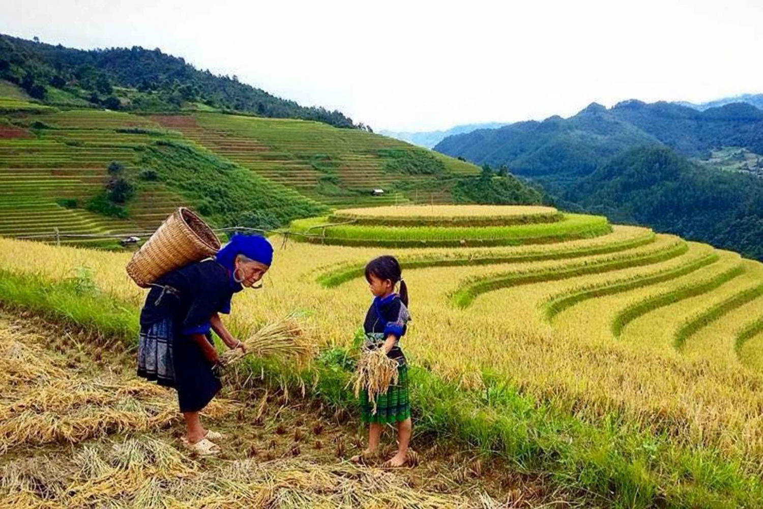 Sa Pa:sta: 5 tunnin Muong Hoa Valley -vaellus ja etniset heimot