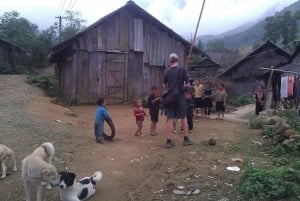 Från Sa Pa: 5 timmars vandring i Muong Hoa-dalen och etniska stammar