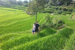 Fra Sa Pa: 5-timers vandring i Muong Hoa-dalen og etniske stammer