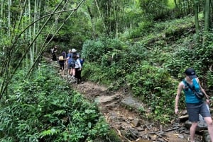 De Sa Pa: Caminhada de dia inteiro na montanha do Pico Fansipan