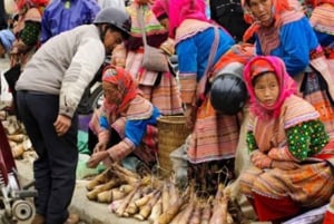 Z Sa Pa: Niedzielna wycieczka grupowa na targ Bac Ha