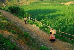 Z Sa Pa: Niedzielna wycieczka grupowa na targ Bac Ha