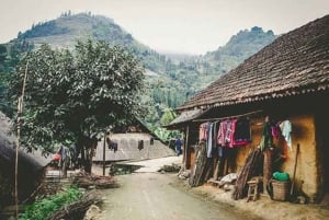 Z Sa Pa: Niedzielna wycieczka grupowa na targ Bac Ha