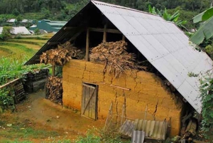 Z Sa Pa: Niedzielna wycieczka grupowa na targ Bac Ha