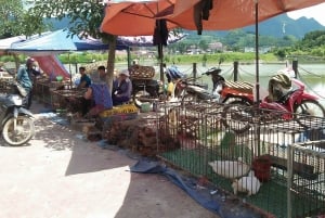 Fra Sa Pa: Gruppetur til Bac Ha-markedet på søndag