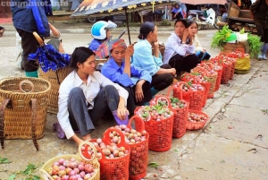 Fra Sa Pa: Gruppetur til Bac Ha-markedet på søndag