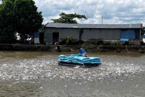 Au départ de Saigon : visite à la journée du delta du Mékong - marché flottant et îlot