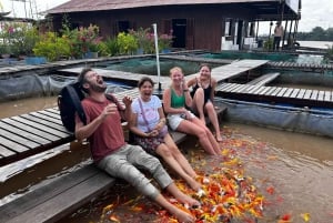 Au départ de Saigon : visite à la journée du delta du Mékong - marché flottant et îlot