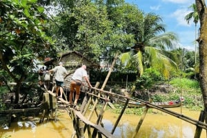 Au départ de Saigon : visite à la journée du delta du Mékong - marché flottant et îlot