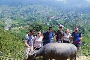 From Sapa : 1 Day Amazing Sapa Trek To Terrace rice field