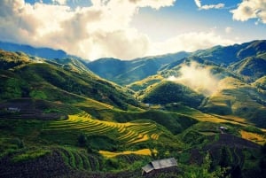 From Sapa : 1 Day Amazing Sapa Trek To Terrace rice field