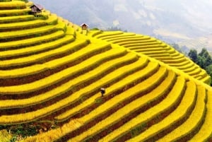 From Sapa : 1 Day Amazing Sapa Trek To Terrace rice field