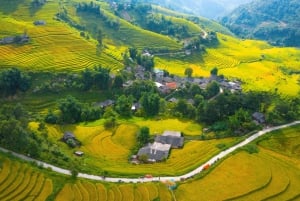 From Sapa : 1 Day Amazing Sapa Trek To Terrace rice field