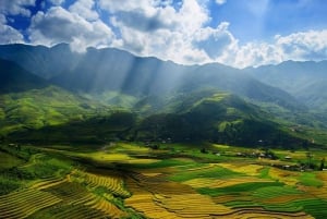 From Sapa : 1 Day Amazing Sapa Trek To Terrace rice field