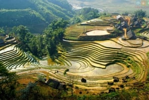 From Sapa : 1 Day Amazing Sapa Trek To Terrace rice field