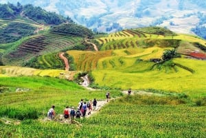 From Sapa : 1 Day Amazing Sapa Trek To Terrace rice field