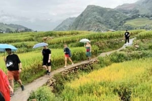 From Sapa : 1 Day Amazing Sapa Trek To Terrace rice field