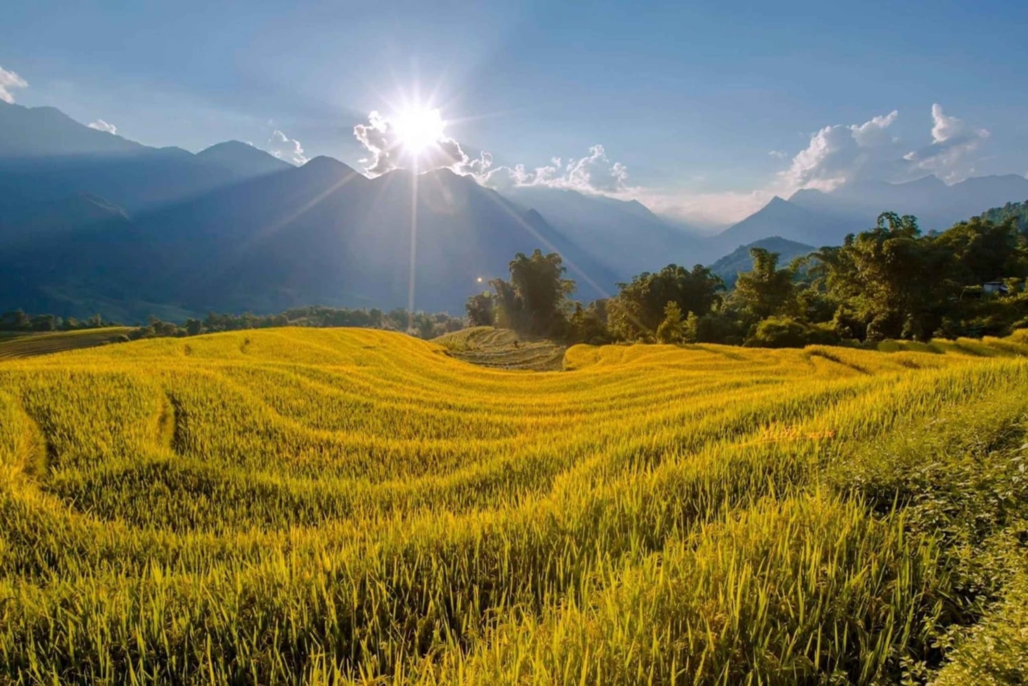 Van Sapa: 1-daagse begeleide trektocht naar Lao Chai en Ta Van met lunch